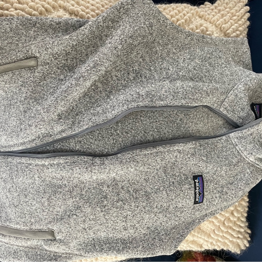 Patagonia Gray Fleece Vest